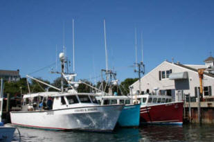 Fishing Boats at Chatham Fish Pier